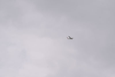 Low angle view of airplane flying in sky