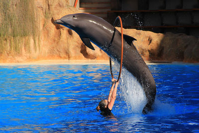 Low section of man swimming in pool