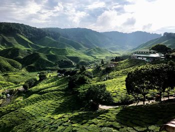 Scenic view of landscape against sky