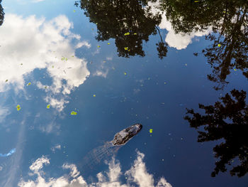 Fish swimming in lake against sky