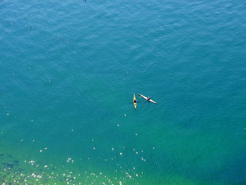 Aerial view of kayaks in sea