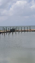 Birds perching on sea against sky