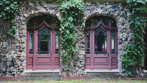 Exterior of ivy growing on building