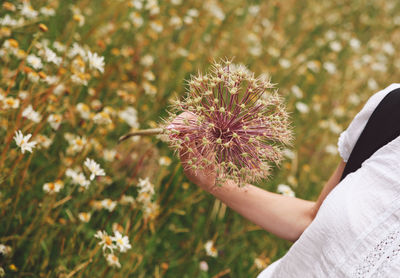 Close-up of woman holding flower