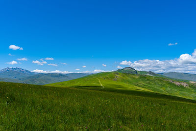 Scenic view of field against blue sky