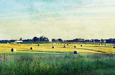 View of rural landscape