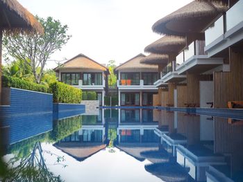 Reflection of trees on swimming pool