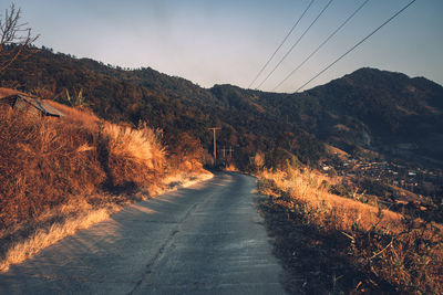 Road amidst plants against sky