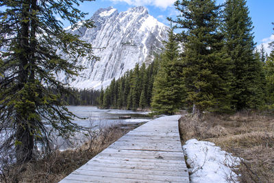 Wooden walkway along a scenic lakeside view