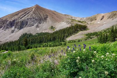 Scenic view of mountains against sky