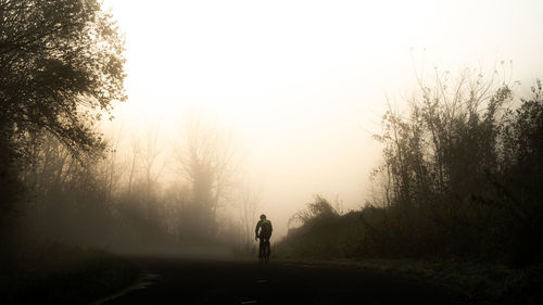 Foggy sunrise on a cyclist