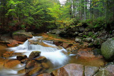 Stream flowing through rocks in forest