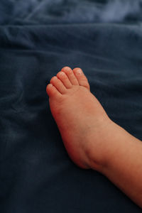 human leg