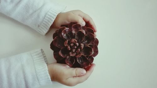 Close-up of hand holding fruit