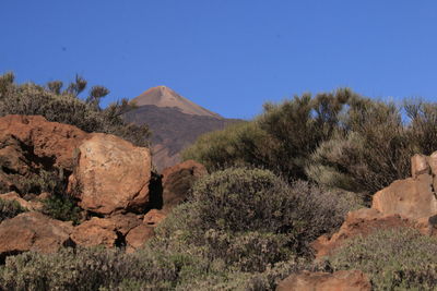 Mount teide