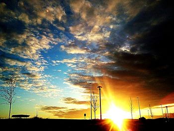 Low angle view of silhouette trees against sky during sunset