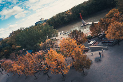 Autumn tree against sky