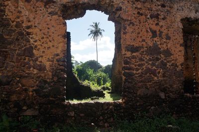 View of tree and sky through old wall