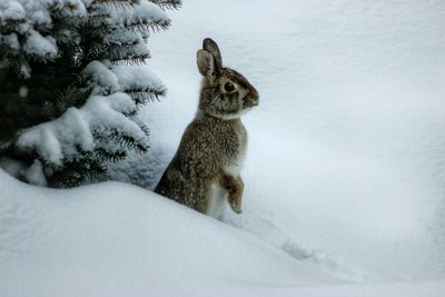 Popping up to say hello