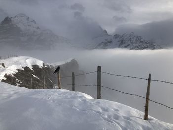 Snow covered mountain against sky