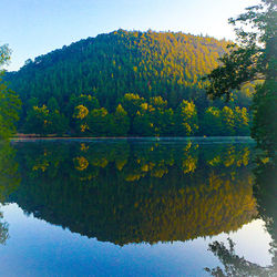 Scenic view of lake by trees against sky