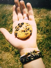 Cropped hand holding chocolate chip cookie