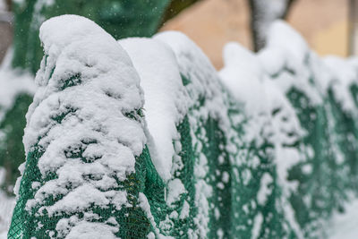 snow
