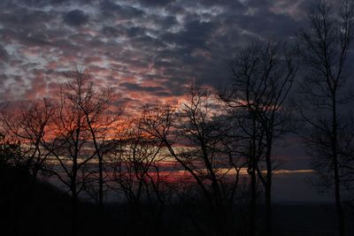 Silhouette of bare tree against cloudy sky