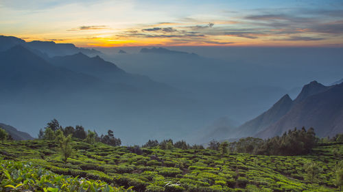 Scenic view of field against cloudy sky