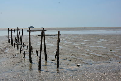 Wooden posts on beach against clear sky