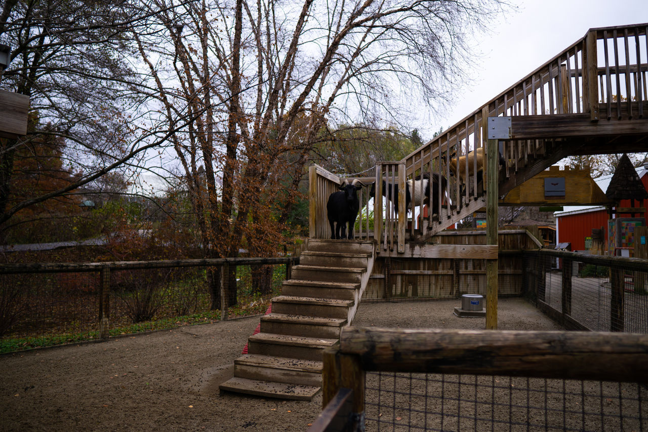 STAIRCASE BY FOOTPATH AGAINST SKY