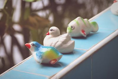 Close-up of parrot perching on toy