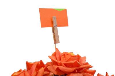 Close-up of red cake against white background