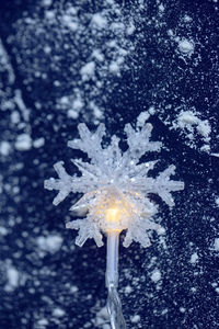 Digital composite image of flowers on snow