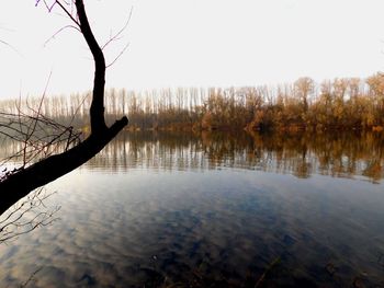 Reflection of trees in lake against sky