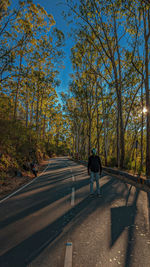 Rear view of man walking on road amidst trees