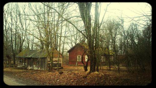 Bare trees on house