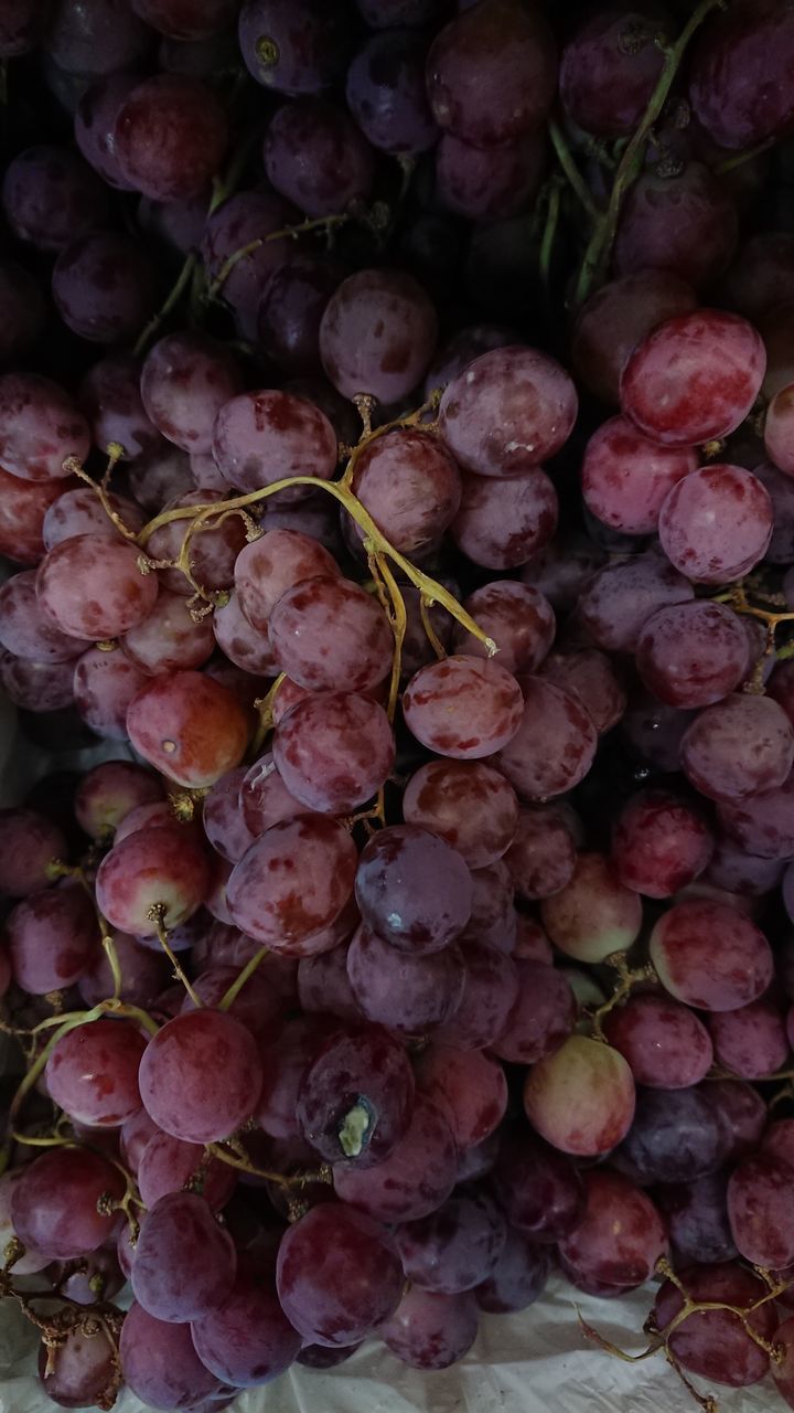 FULL FRAME SHOT OF GRAPES GROWING IN CONTAINER
