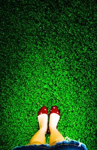 Low section of person standing on grass