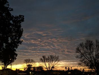 Low angle view of silhouette trees against sky at sunset