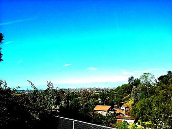 View of trees against blue sky