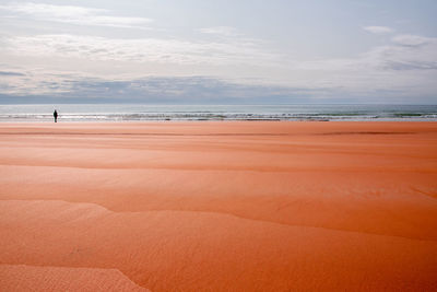 Orange sand beach in iceland