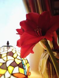 Close-up of red flower against sky