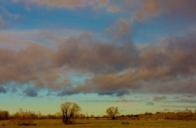 Scenic view of field against sky