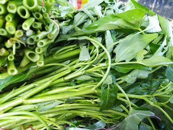 High angle view of chopped green leaves