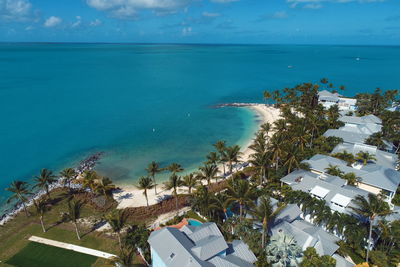 High angle view of palm trees on beach