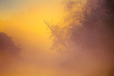 A beautiful spring river landscape with morning fog.