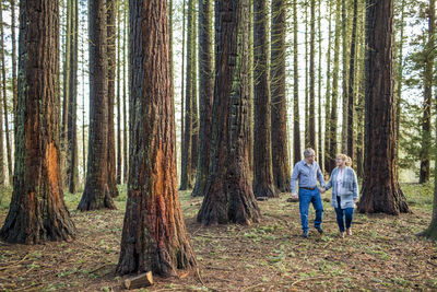 Older couple enjoying life, holding hands walking in forest.