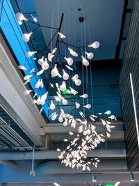 Low angle view of illuminated lights hanging on ceiling in building