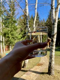 Close-up of hand holding drink against trees